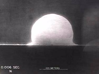 t006